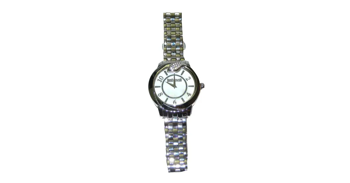 Just Cavalli Relojes finos Plata 