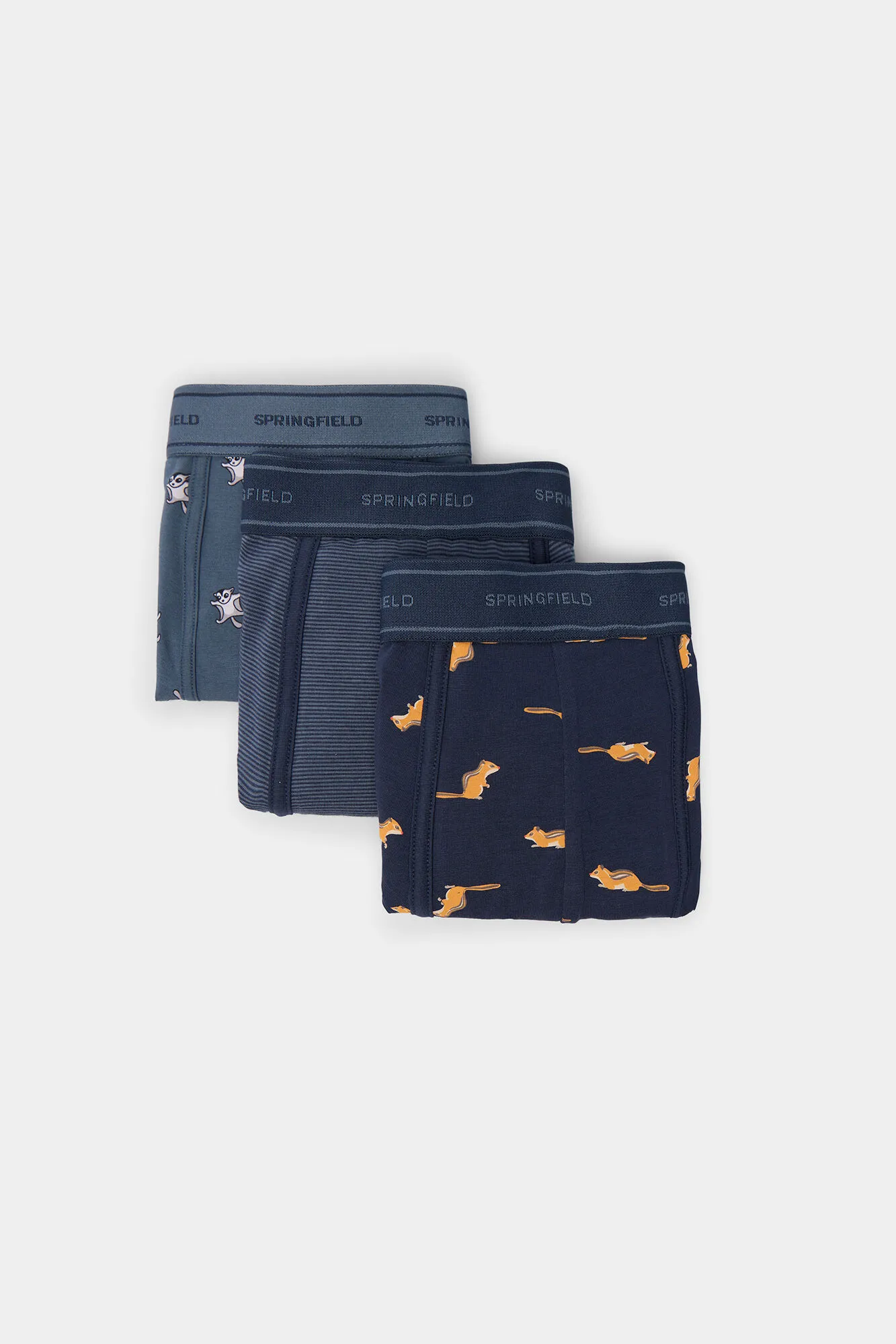 Springfield Pack 3 boxers estampado ardillas