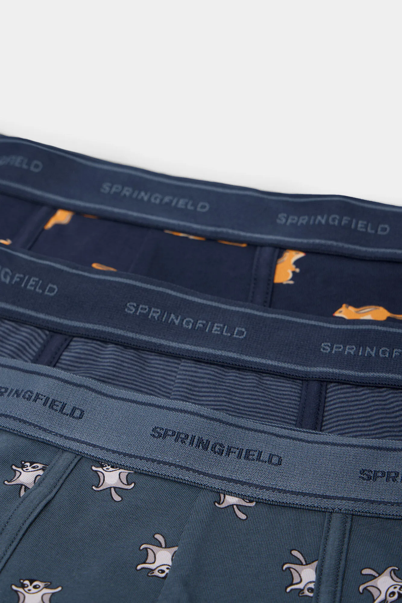 Springfield Pack 3 boxers estampado ardillas